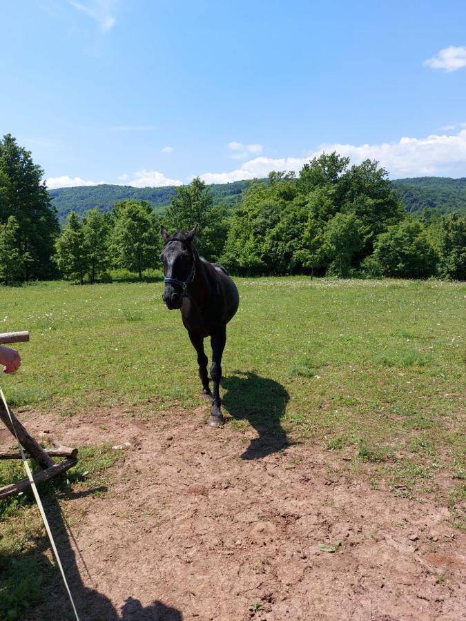 Apartman Vito Saborsko Buitenkant foto