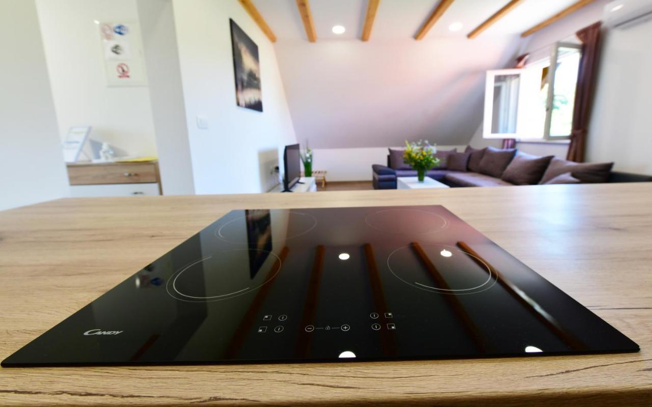 Apartman Vito Saborsko Buitenkant foto
